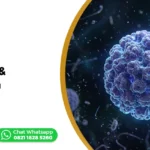 HPV adalah & gejala pada wanita